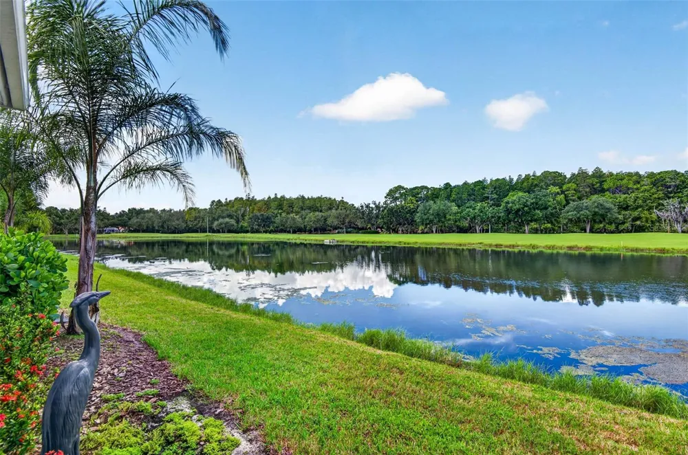10324 SAVILLE ROWE LANE Tampa, FL 33626