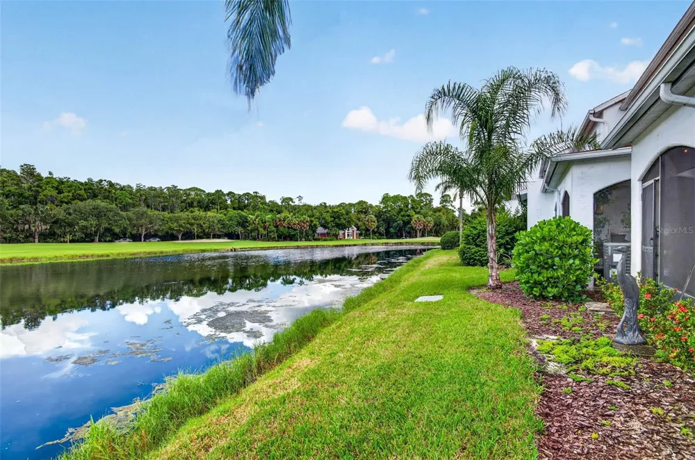10324 SAVILLE ROWE LANE Tampa, FL 33626