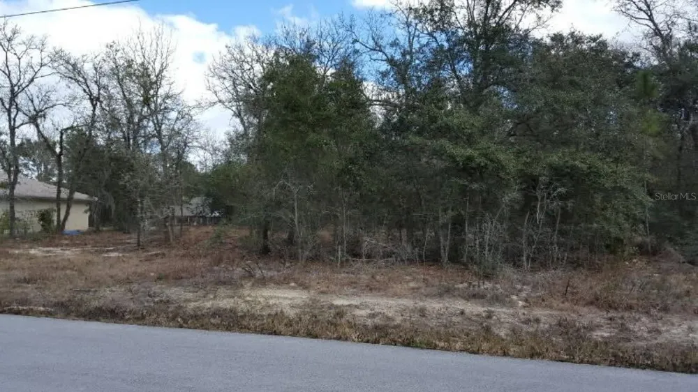 0 SE 88TH CT Summerfield, FL 34491