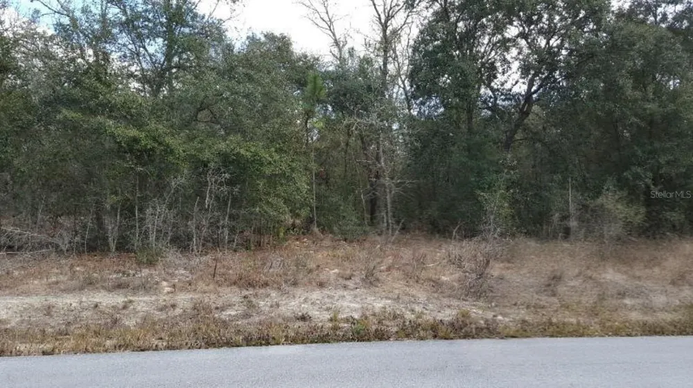 0 SE 88TH CT Summerfield, FL 34491