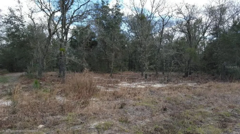 0 SE 88TH CT Summerfield, FL 34491