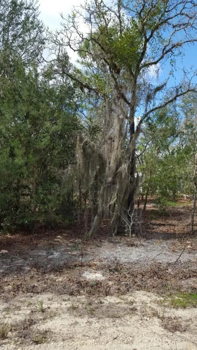 0 SE 88TH CT Summerfield, FL 34491
