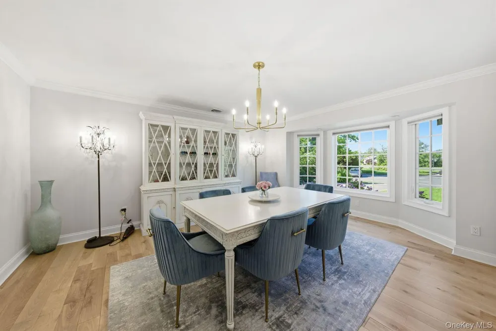 6 Castle Court Woodbury, NY 11797