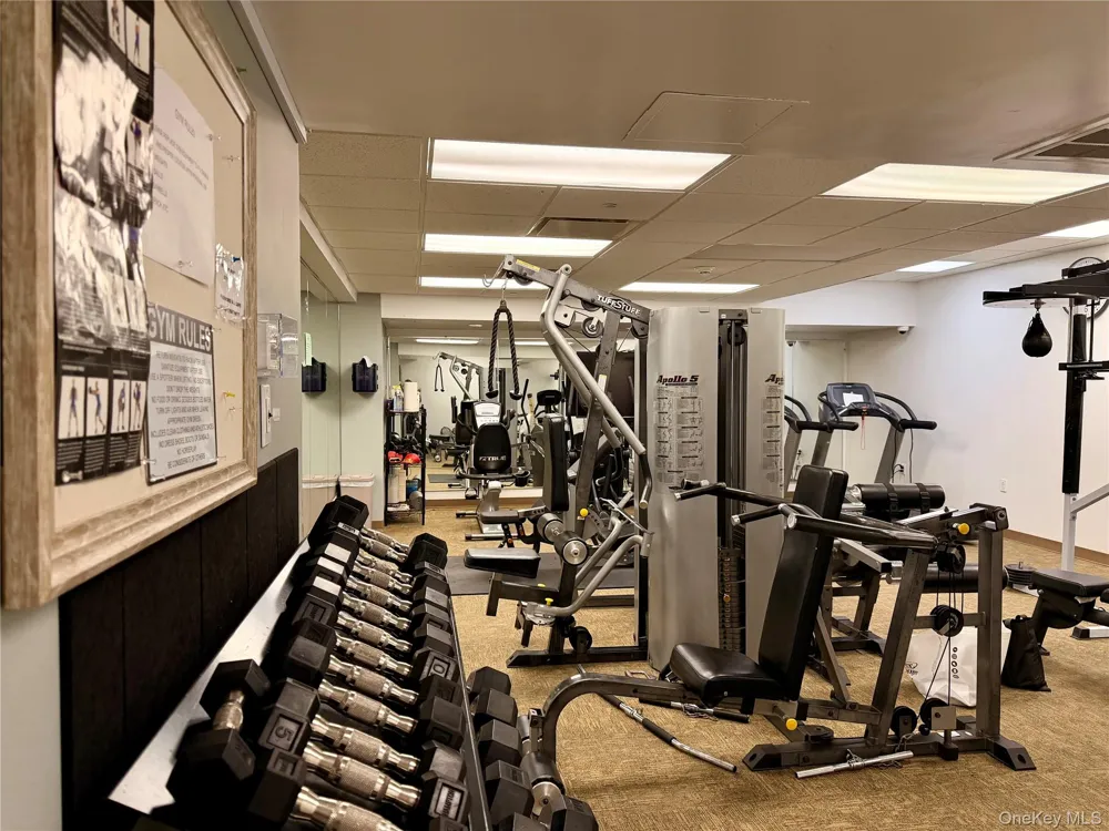 543 Main Street #714 New Rochelle, NY 10801