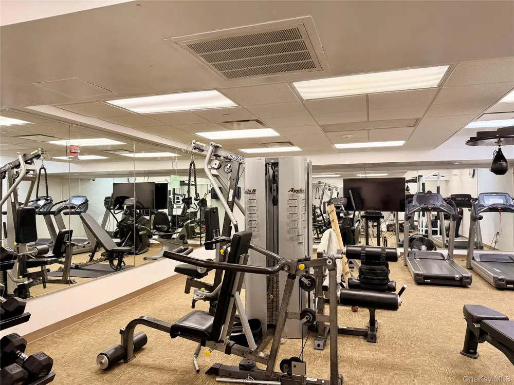 543 Main Street #714 New Rochelle, NY 10801