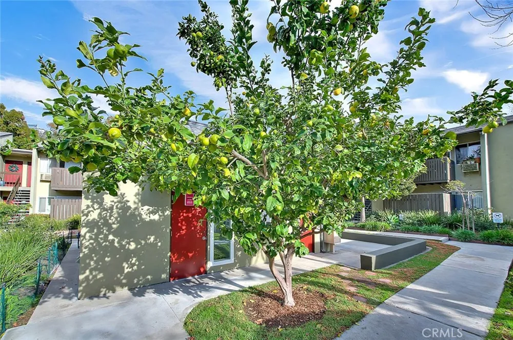 4822 Hollow Corner #177 Culver City, CA 90230