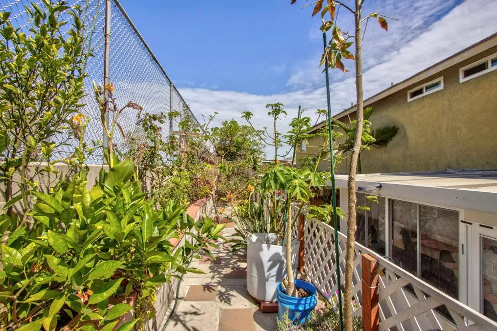 828 Hollister #A San Diego, CA 92154