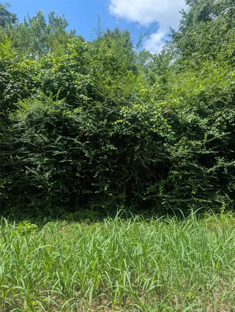 County Road 3419