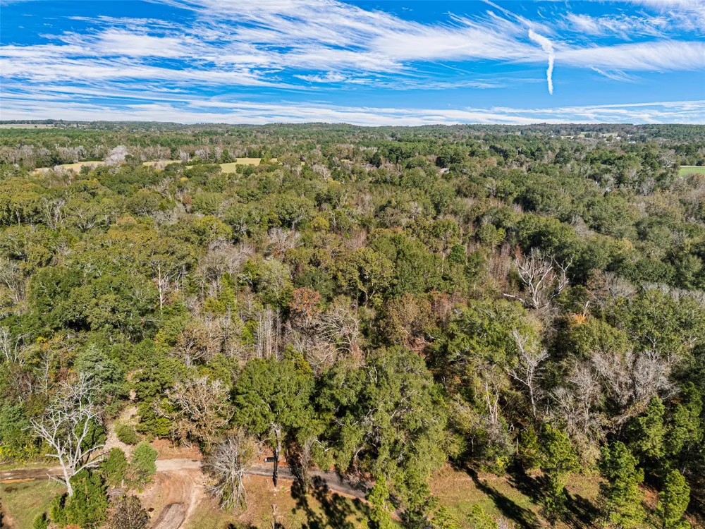 VZ County Road 4815 Chandler, TX 75758