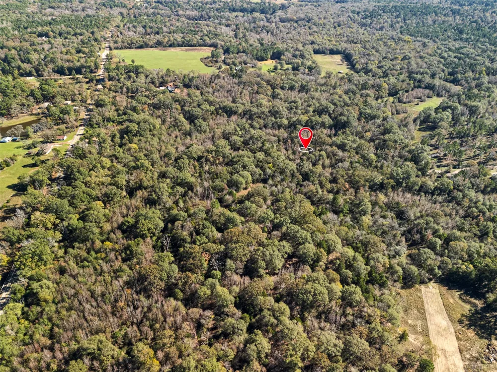 VZ County Road 4815 Chandler, TX 75758