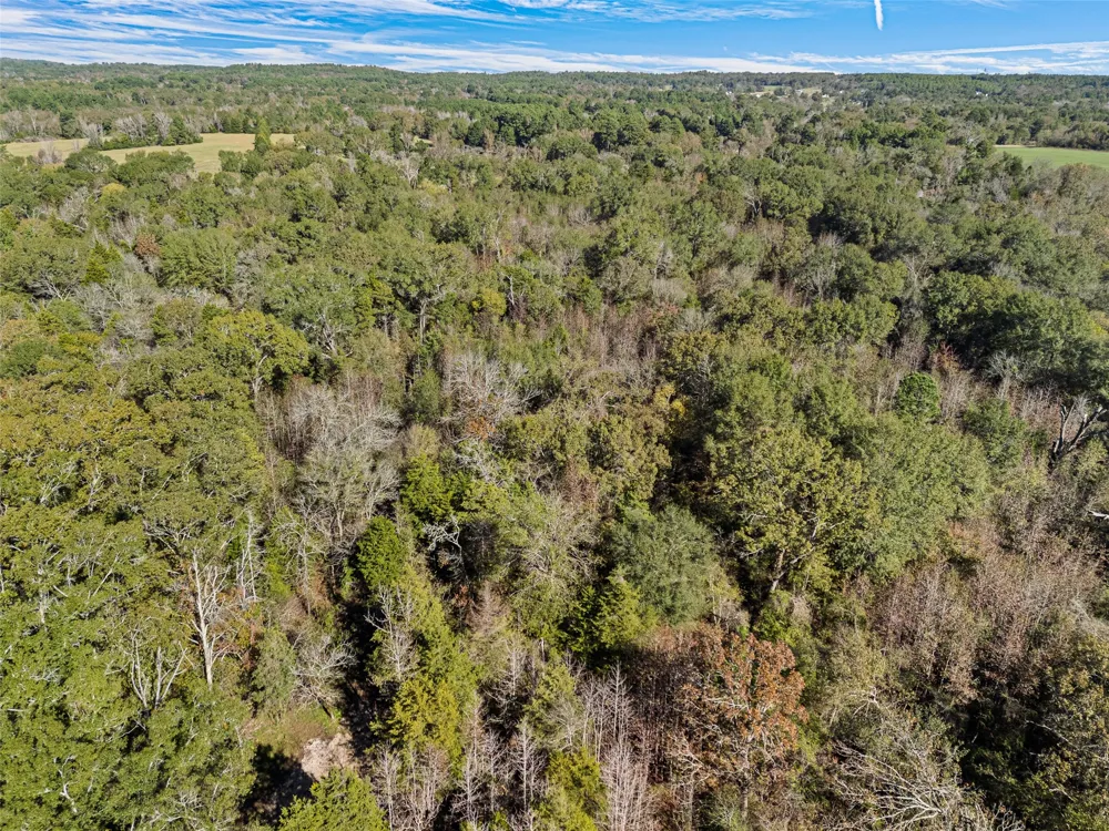 VZ County Road 4815 Chandler, TX 75758