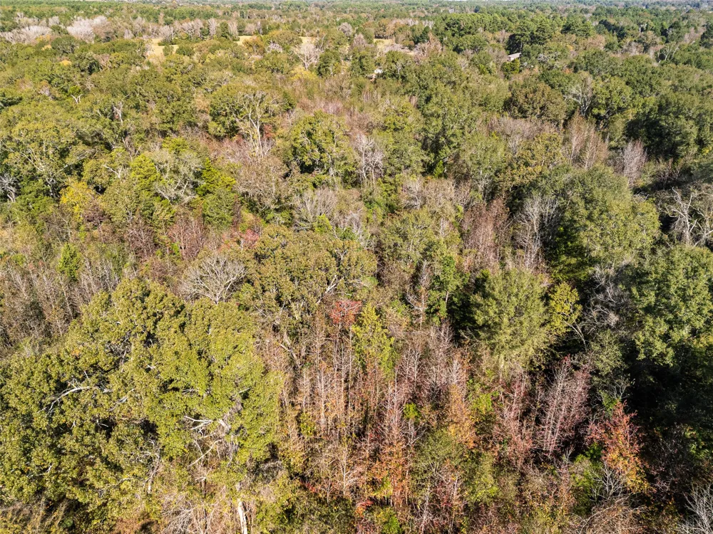 VZ County Road 4815 Chandler, TX 75758