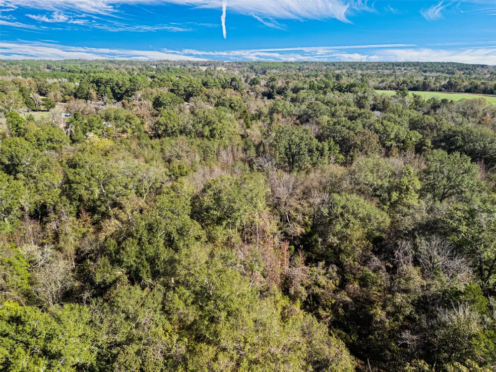 VZ County Road 4815 Chandler, TX 75758