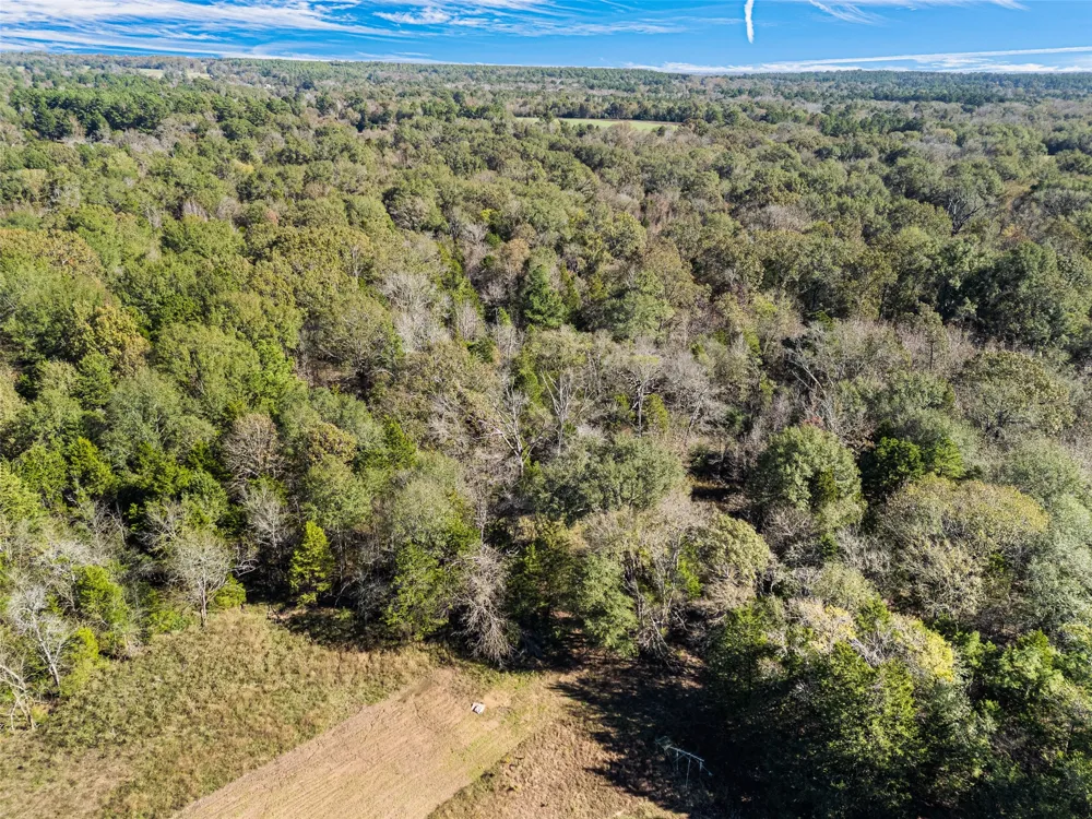 VZ County Road 4815 Chandler, TX 75758
