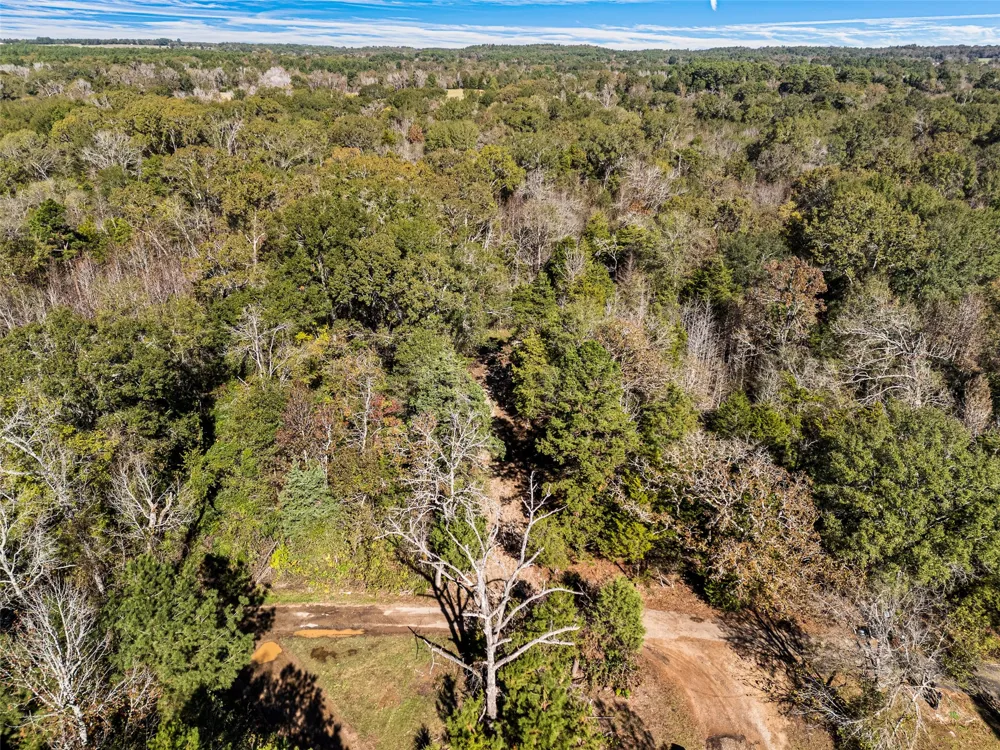 VZ County Road 4815 Chandler, TX 75758