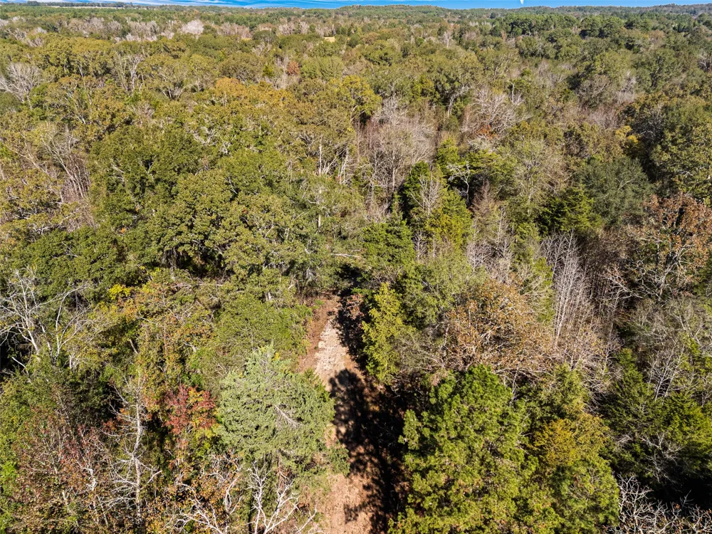 VZ County Road 4815 Chandler, TX 75758