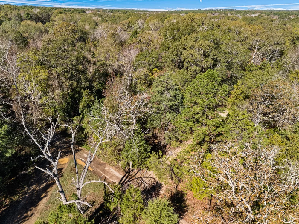 VZ County Road 4815 Chandler, TX 75758
