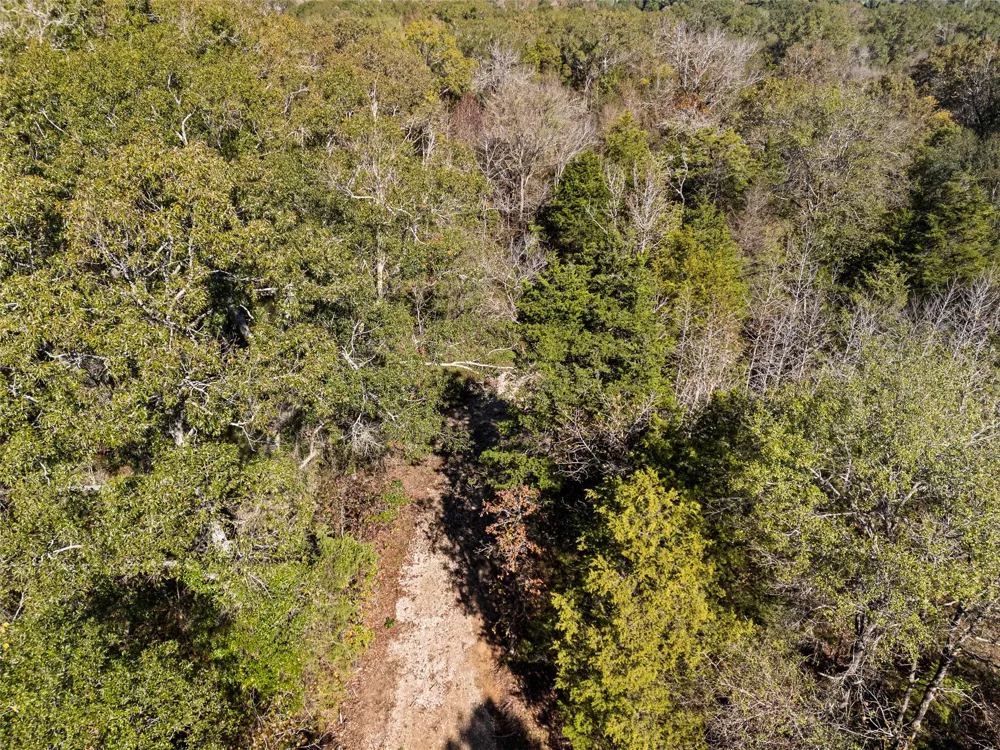 VZ County Road 4815 Chandler, TX 75758