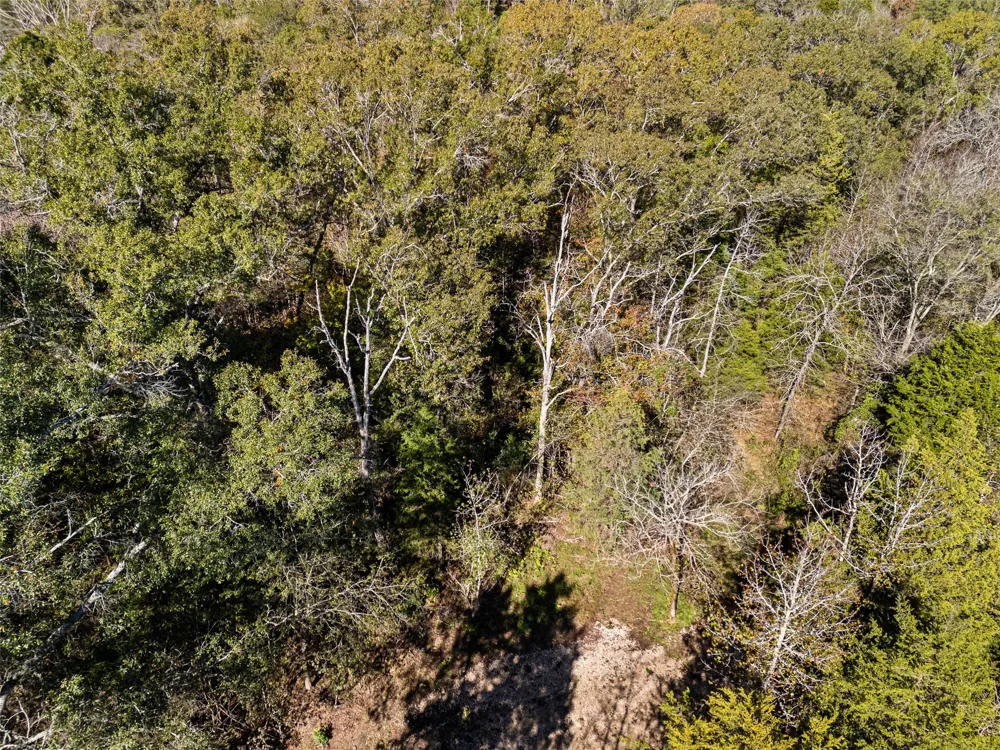 VZ County Road 4815 Chandler, TX 75758