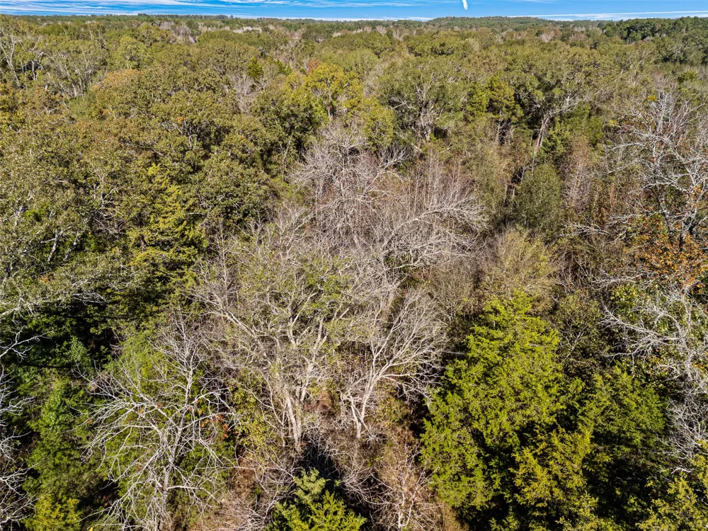 VZ County Road 4815 Chandler, TX 75758