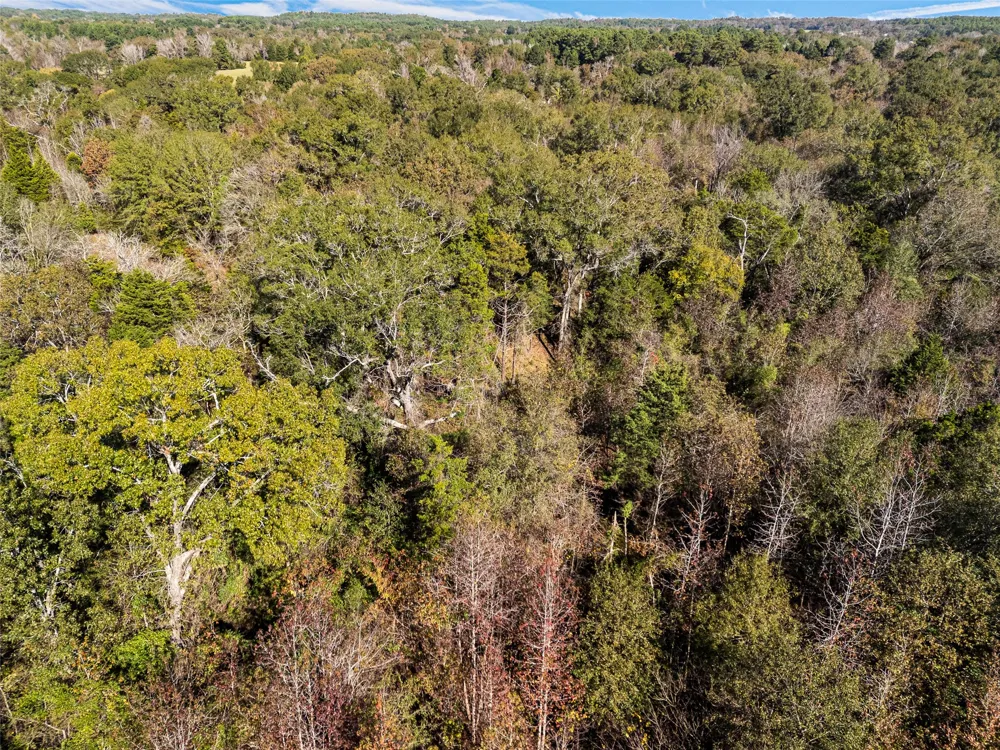 VZ County Road 4815 Chandler, TX 75758