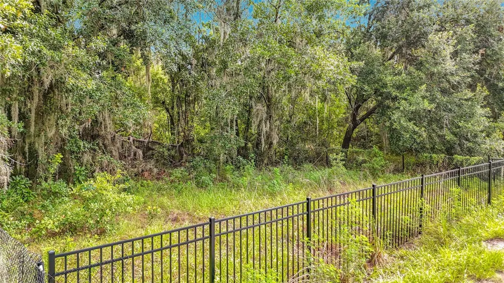10623 LITHIA ESTATES DRIVE Lithia, FL 33547