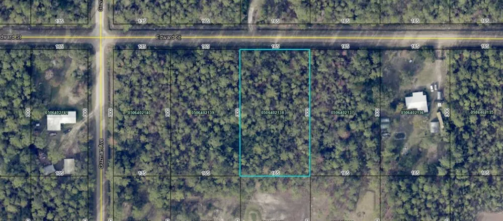 0000 EDWARD STREET Hastings, FL 32145