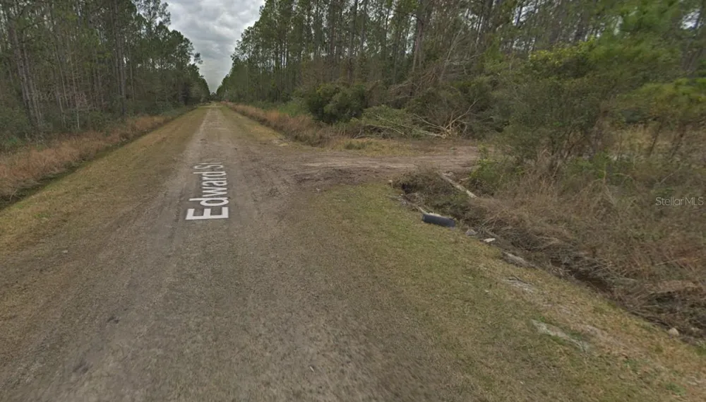 0000 EDWARD STREET Hastings, FL 32145