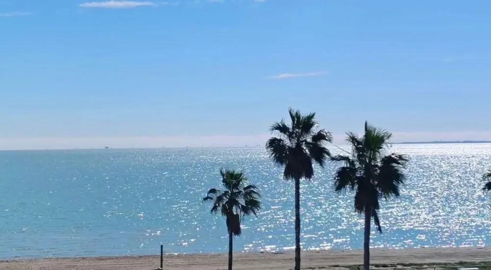 3938 Surfside Boulevard #3332 Corpus Christi, TX 78402