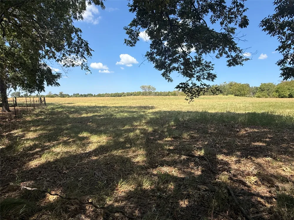 4411 Fm 100 Honey Grove, TX 75446