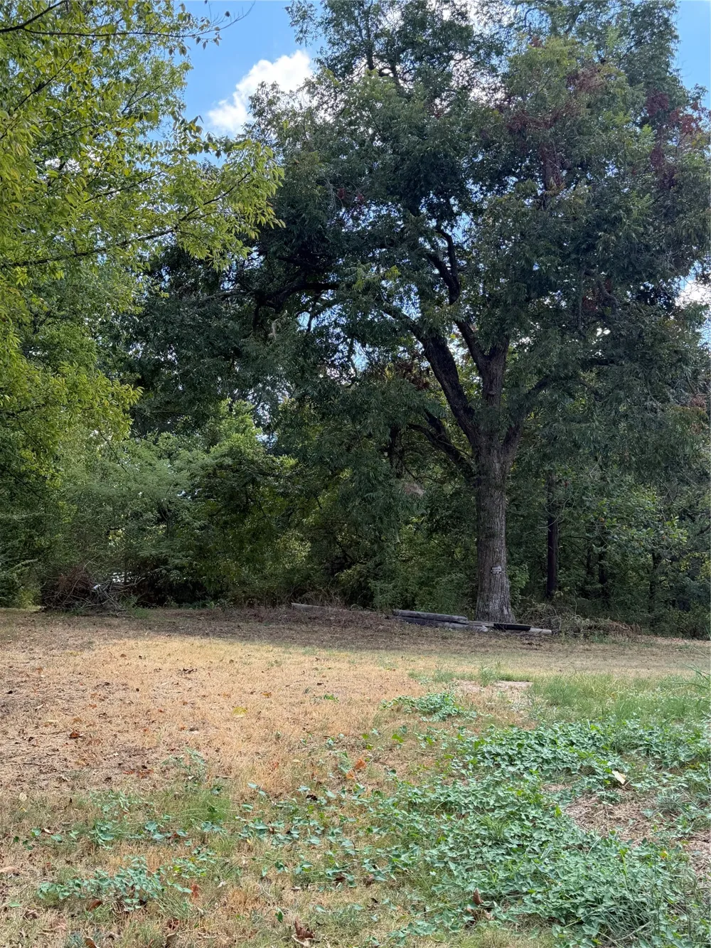 943 W Sherman Street Paris, TX 75460