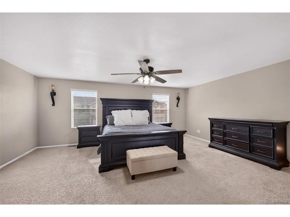 914 Charlton Drive Windsor, CO 80550