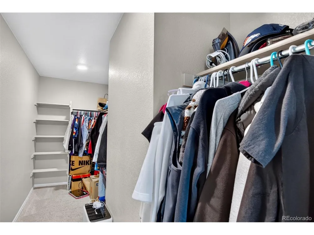 914 Charlton Drive Windsor, CO 80550