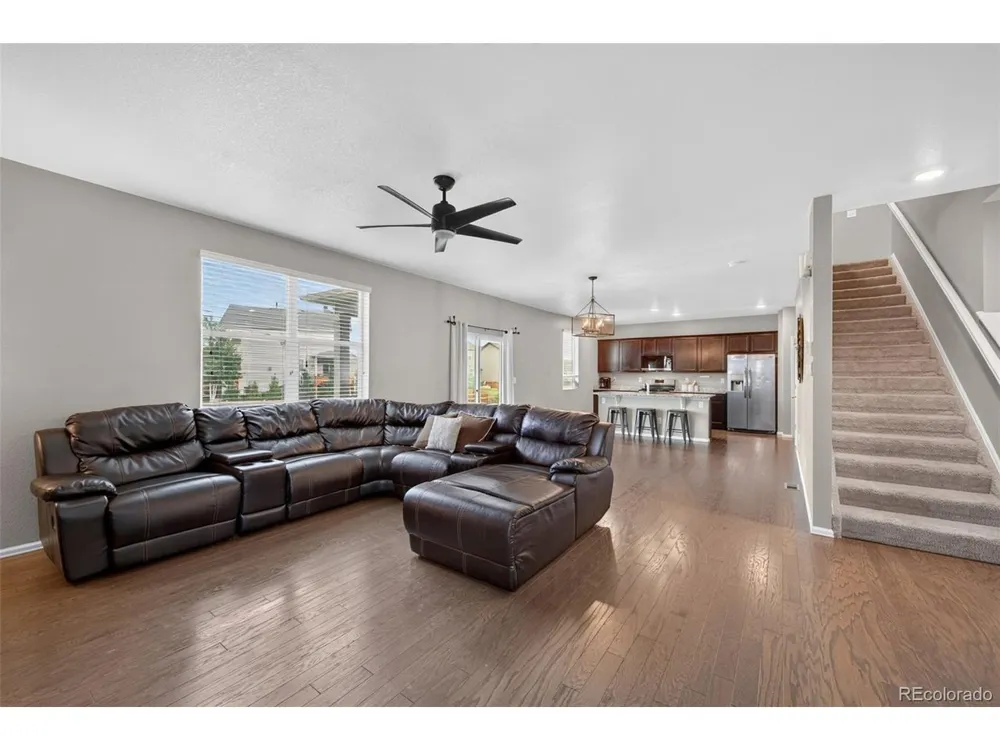 914 Charlton Drive Windsor, CO 80550