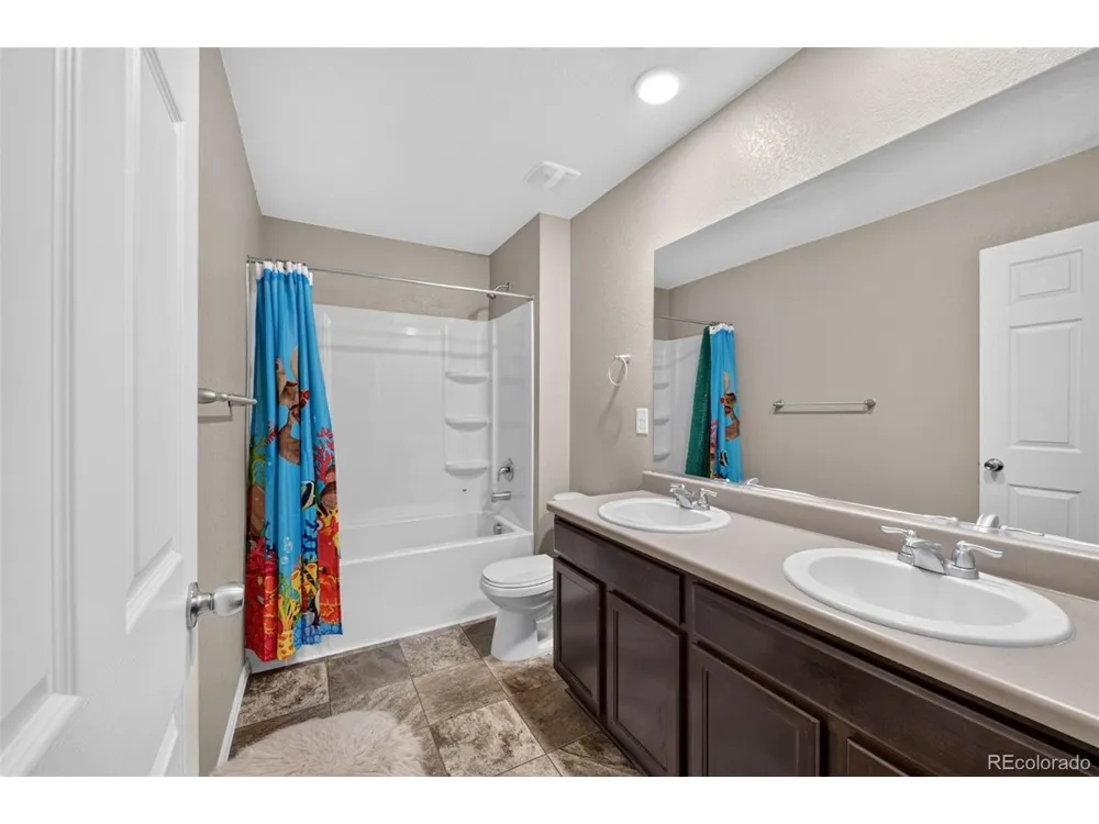 914 Charlton Drive Windsor, CO 80550