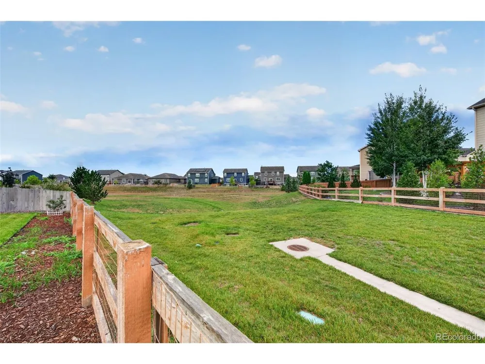 914 Charlton Drive Windsor, CO 80550