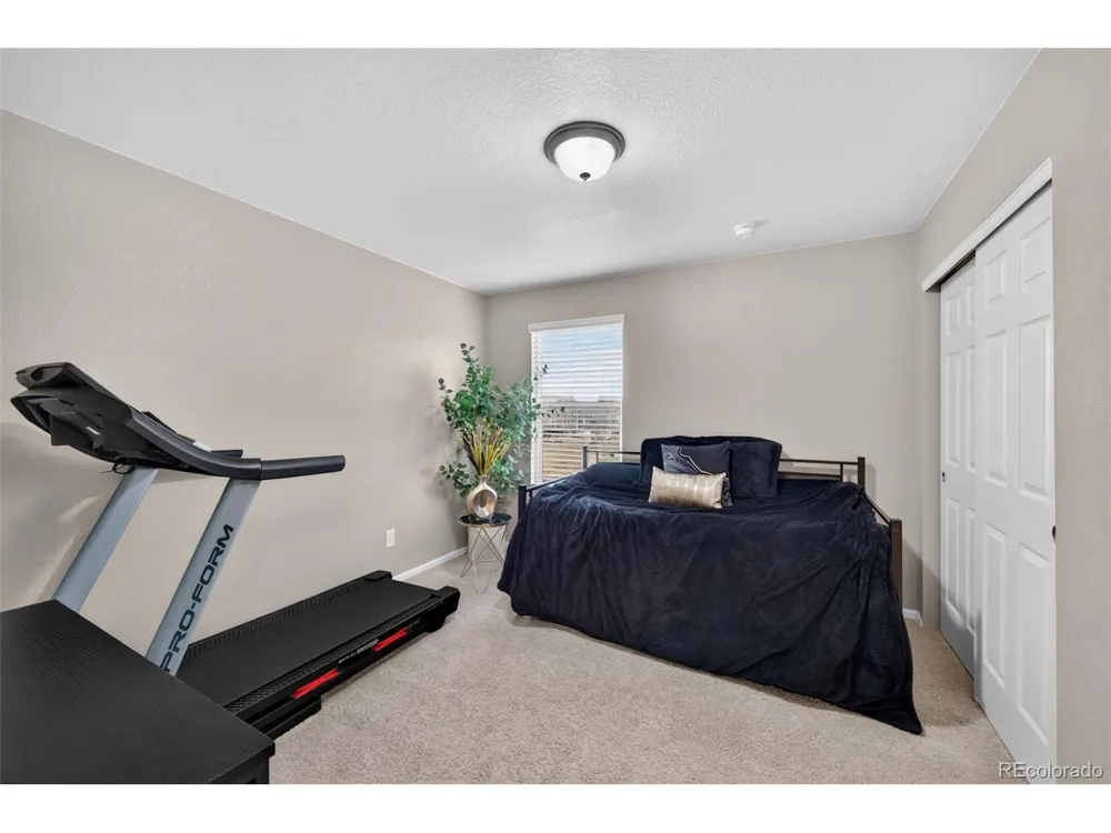 914 Charlton Drive Windsor, CO 80550