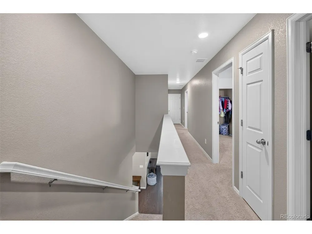 914 Charlton Drive Windsor, CO 80550