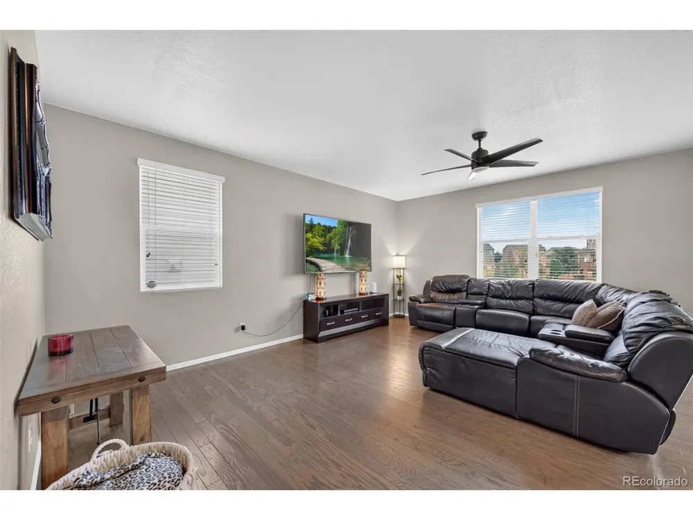 914 Charlton Drive Windsor, CO 80550