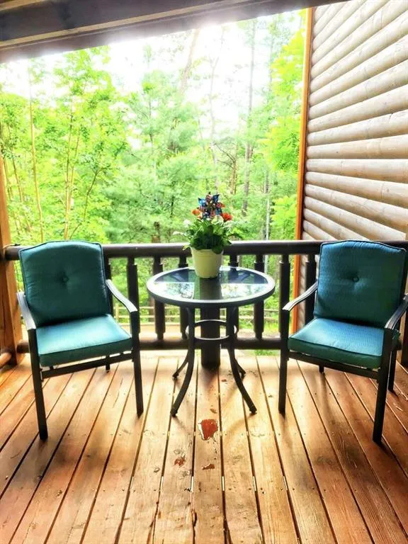 112 Seneca Drive Ellijay, GA 30540