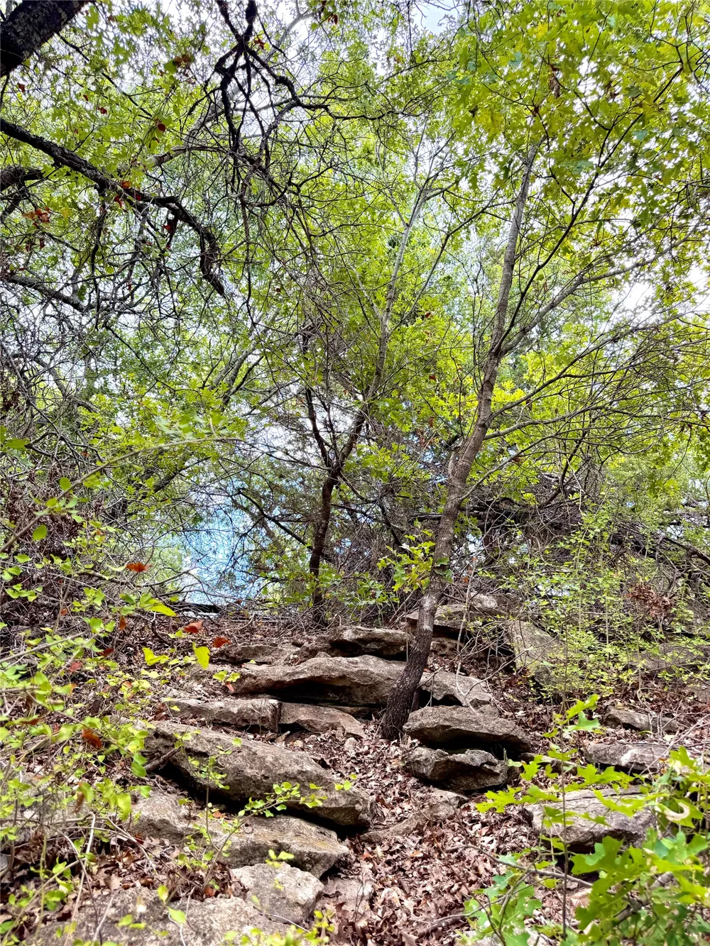 PECAN SHELL RD Desdemona, TX 76445