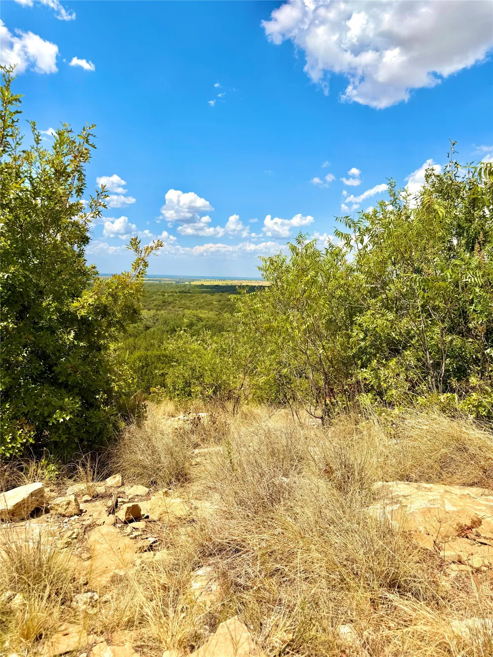 PECAN SHELL RD Desdemona, TX 76445