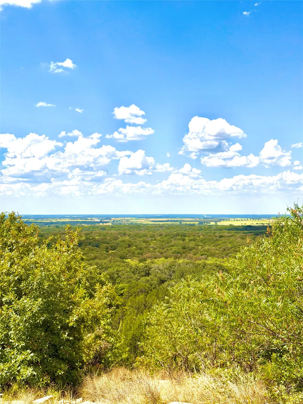 PECAN SHELL RD Desdemona, TX 76445