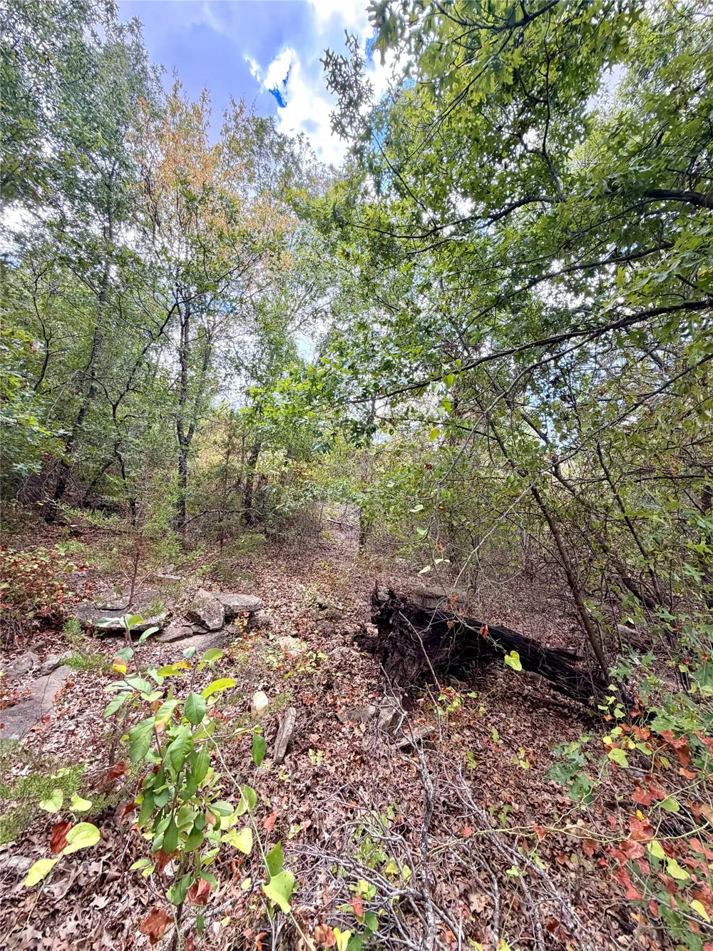 PECAN SHELL RD Desdemona, TX 76445
