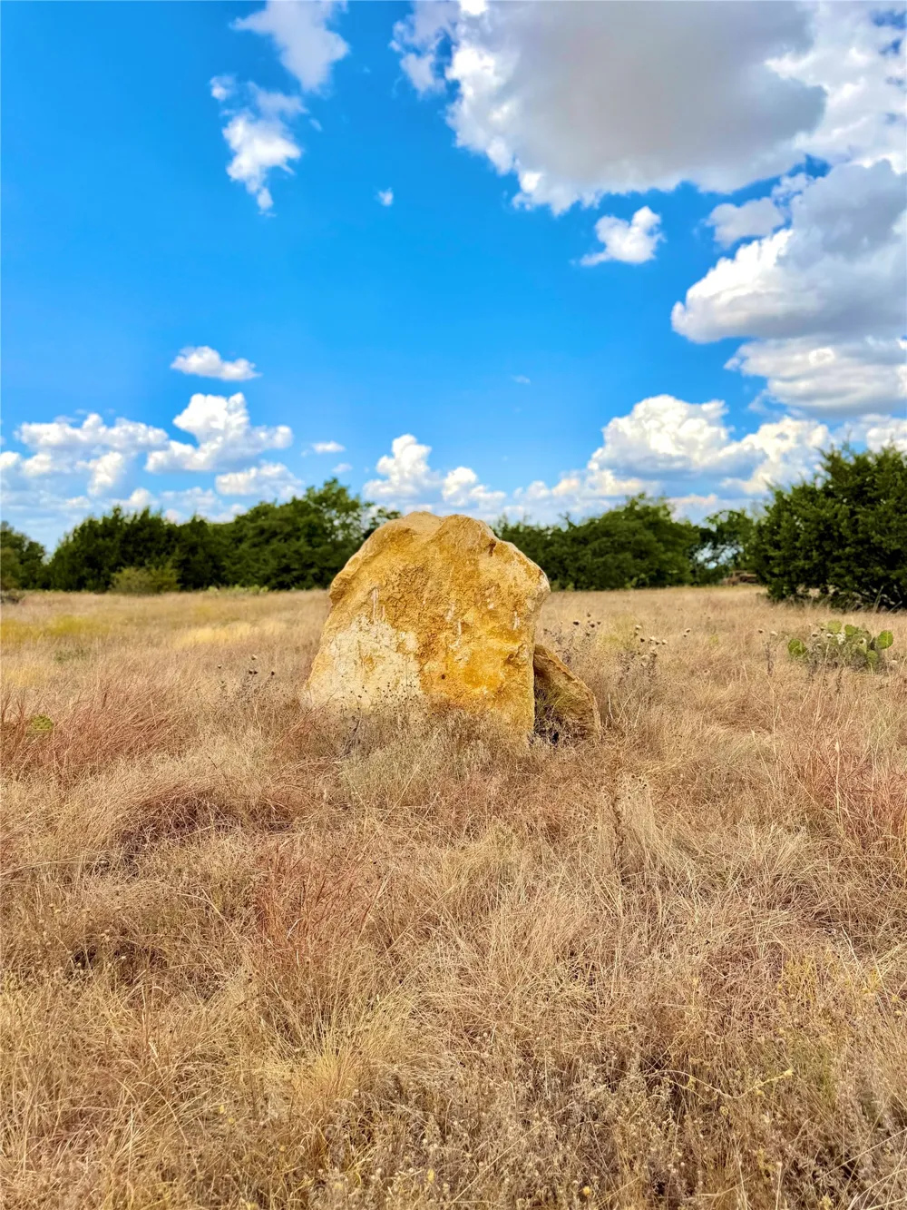 PECAN SHELL RD Desdemona, TX 76445
