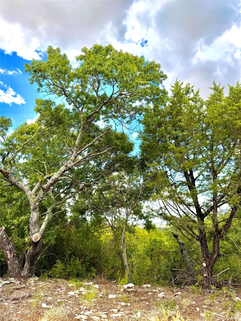 PECAN SHELL RD Desdemona, TX 76445