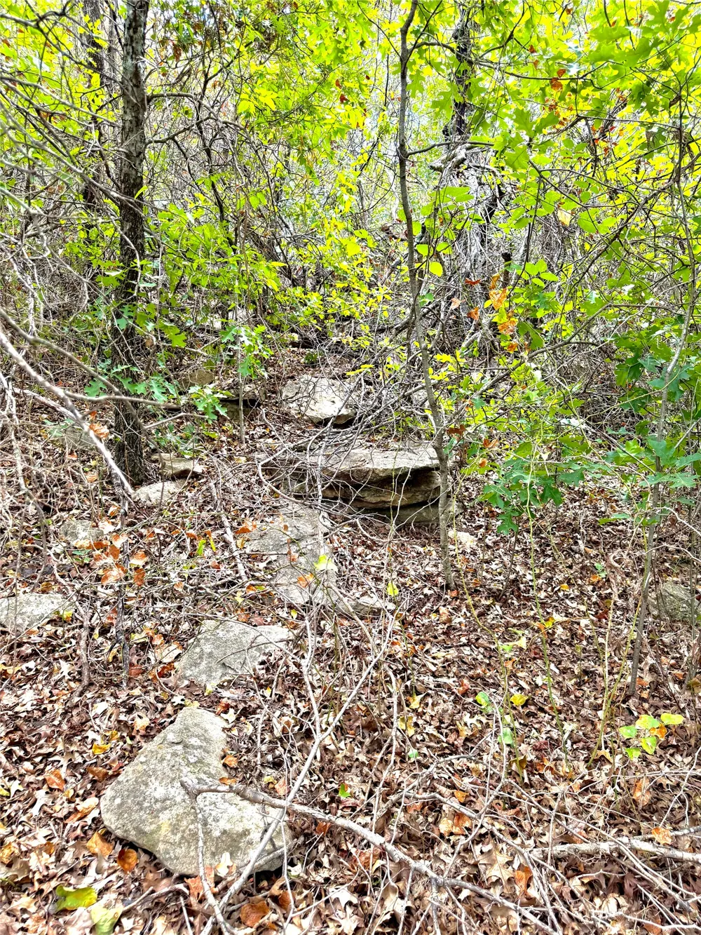 PECAN SHELL RD Desdemona, TX 76445