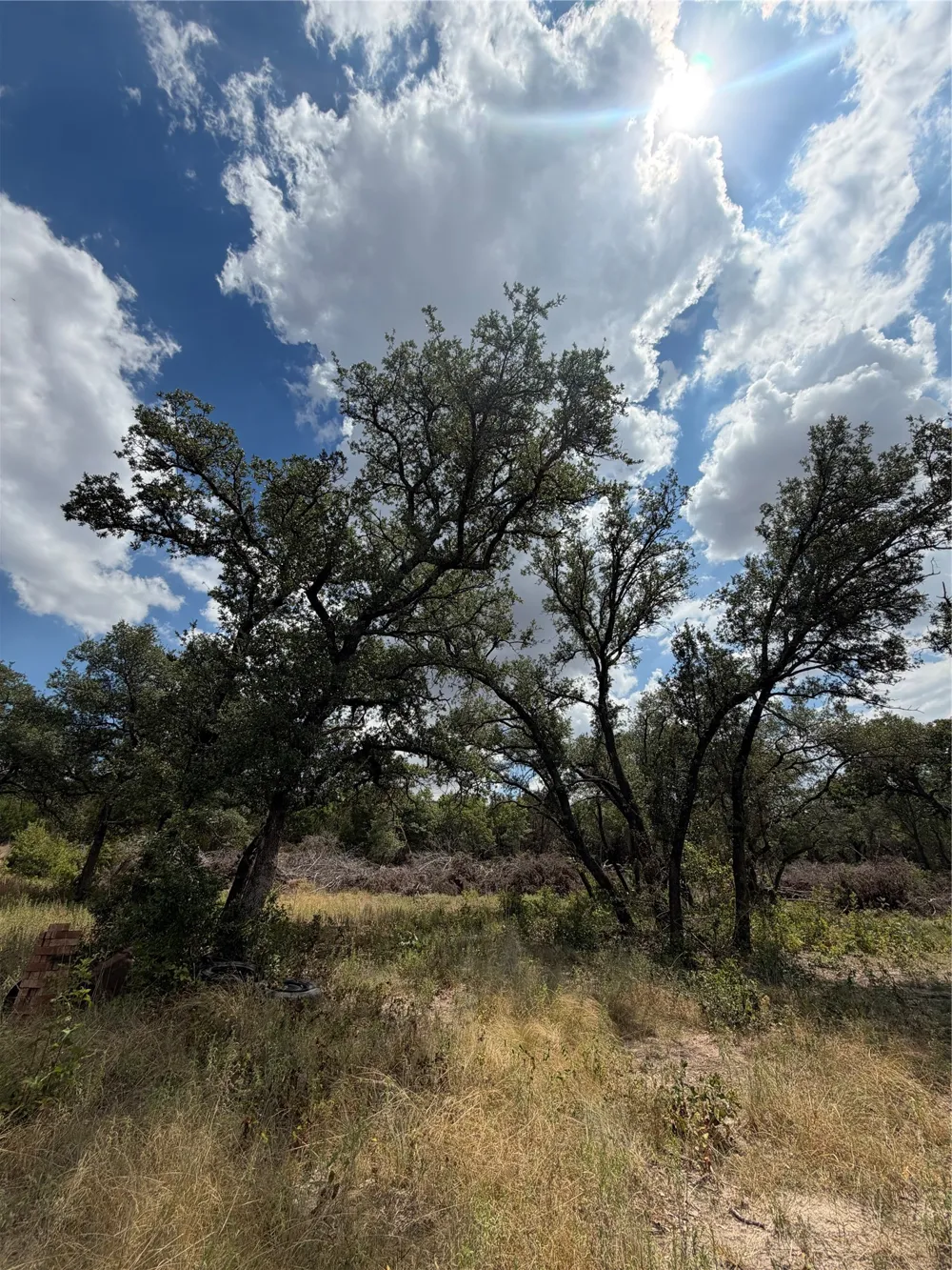 PECAN SHELL RD Desdemona, TX 76445