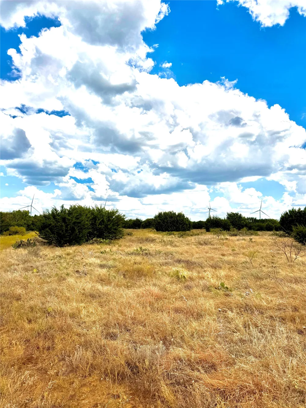 PECAN SHELL RD Desdemona, TX 76445
