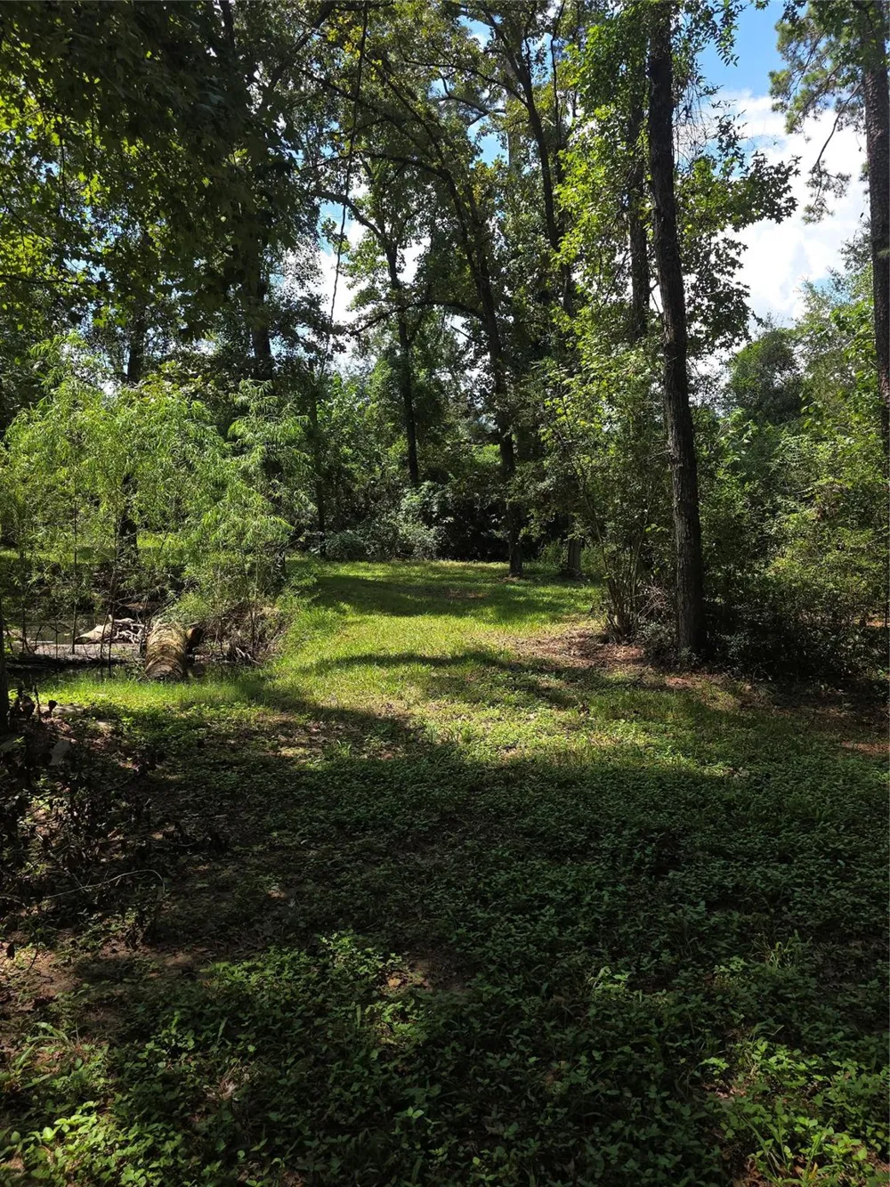 40 Hall Drive Montgomery, TX 77316